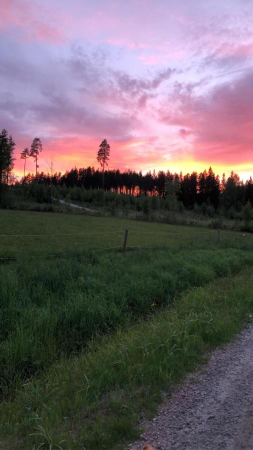 Mysig Timmerstuga Med Braskamin Naera Hovfjaellet Torsby Buitenkant foto