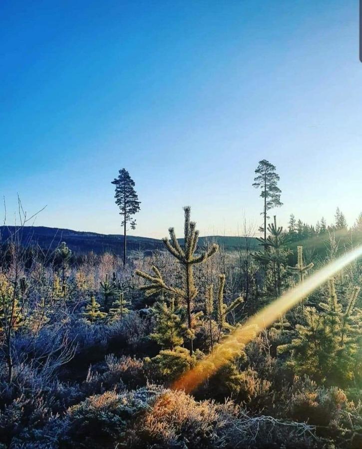 Mysig Timmerstuga Med Braskamin Naera Hovfjaellet Torsby Buitenkant foto