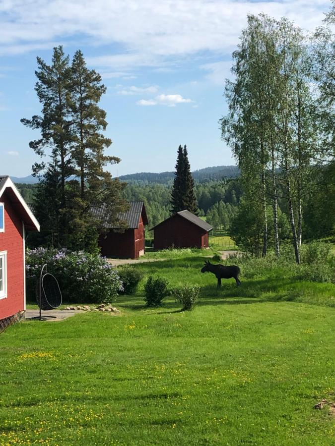 Mysig Timmerstuga Med Braskamin Naera Hovfjaellet Torsby Buitenkant foto