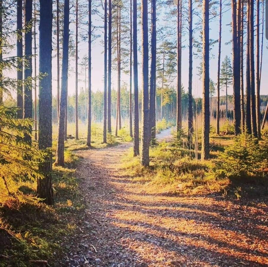 Mysig Timmerstuga Med Braskamin Naera Hovfjaellet Torsby Buitenkant foto