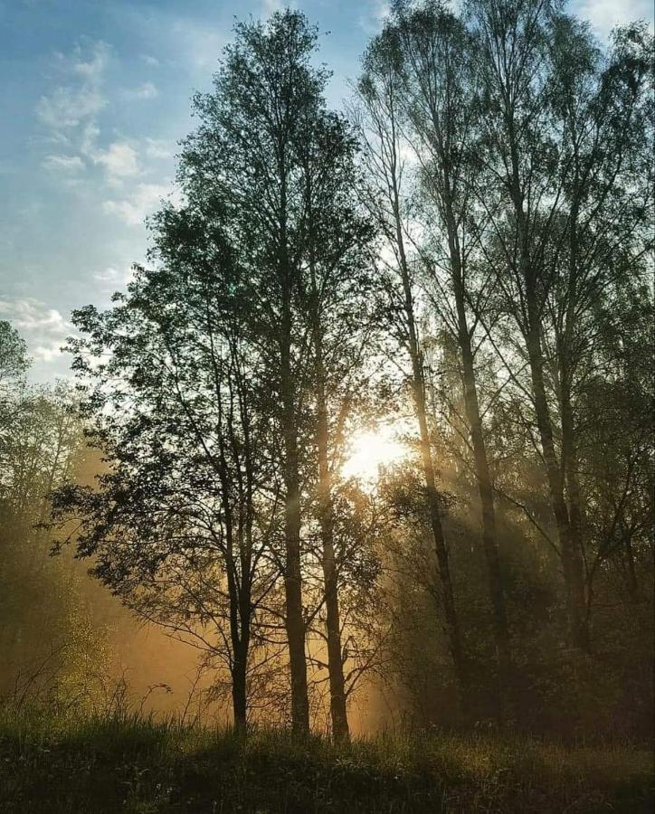 Mysig Timmerstuga Med Braskamin Naera Hovfjaellet Torsby Buitenkant foto
