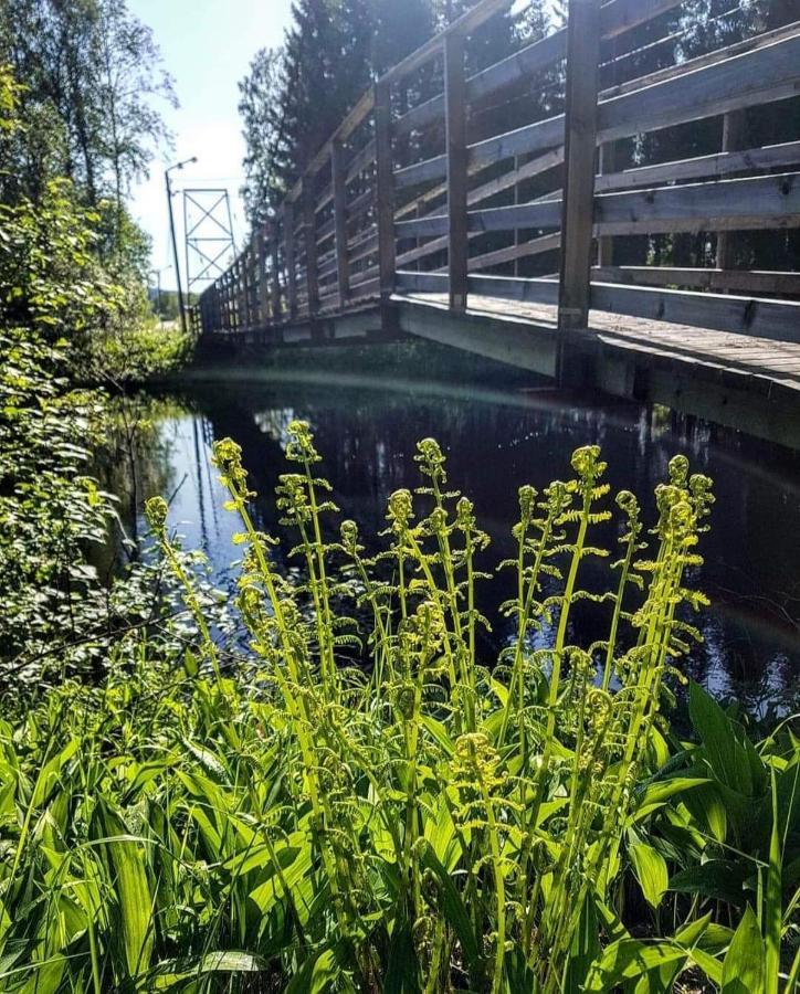 Mysig Timmerstuga Med Braskamin Naera Hovfjaellet Torsby Buitenkant foto