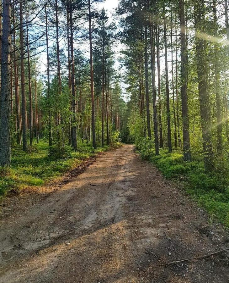 Mysig Timmerstuga Med Braskamin Naera Hovfjaellet Torsby Buitenkant foto